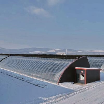 Аркированная крыша Аквакультура Растительная пленка Солнечный свет Теплица для цветка клубники США