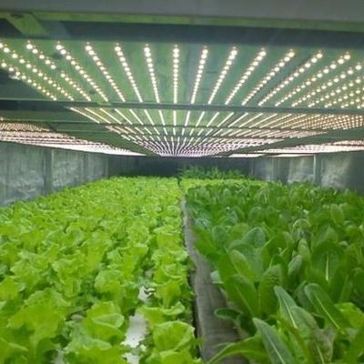 Система освещения для контейнерных теплиц Пакет валовой вес 2000.000kg Валюта США