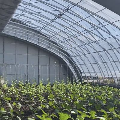 Настраиваемая растительная пленка гидропоника тепличная система для эффективности многопролетного использования