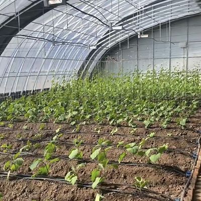 Система капельного орошения с 30-дневным возвратным возмещением