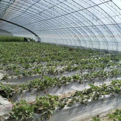 Система капельного орошения с 30-дневным возвратным возмещением