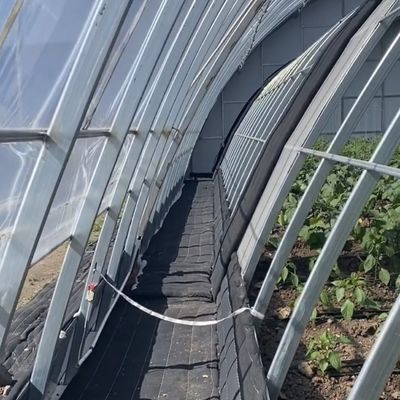 Система капельного орошения с 30-дневным возвратным возмещением