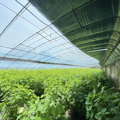 Теплица с арочной крышей для солнечных лучей Аквакультура Цветоводство Производство овощей