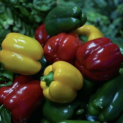Коммерческая аквапоника Теплица для солнечных лучей, орошение, производство овощей