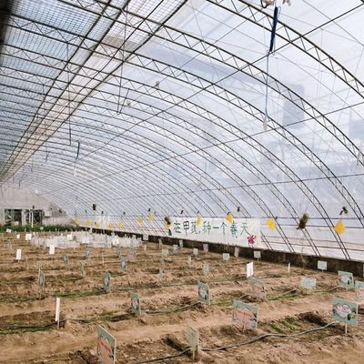 Гидропоническая теплица с арочной крышей для аквакультуры и системы выращивания овощей