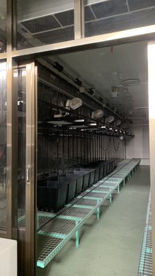 Контейнер для транспортировки теплицы для выращивания зеленых листьев в 40HQ Reefer Container