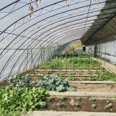 Солнечный свет Теплица Аквакультура Производство овощей Посев 1 квадратный метр Min.Order
