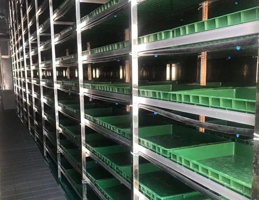 Интеллектуальный контроль температуры Juxiang лиственные овощи контейнер дома нагрева метод