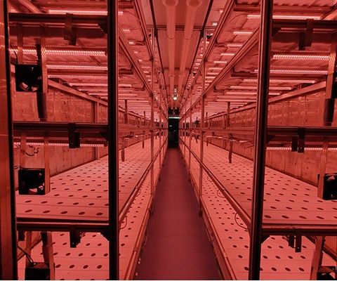 Контейнерный дом для выращивания лиственных овощей Технология выращивания гидропоники