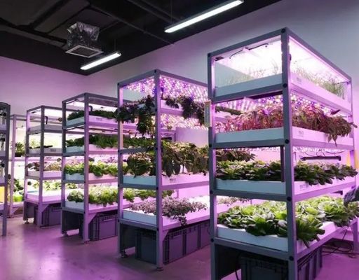 Портативный контейнер для перевозки листовых овощей из стали для строительных материалов