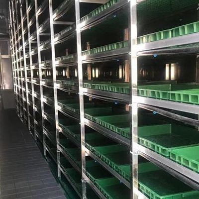 Многоразовые контейнеры теплицы JX-CG-12 для листовых овощей в пределах вашего бюджета