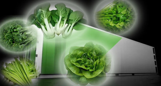 Juxiang 40hq Reefer Container Greenhouse Стоимость доставки и расчетный срок доставки