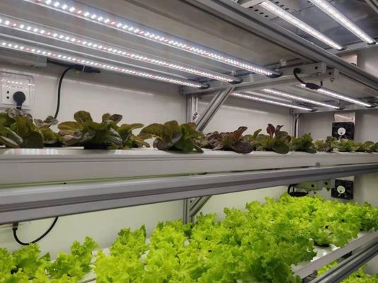 Juxiang 40hq Reefer Container Greenhouse Стоимость доставки и расчетный срок доставки