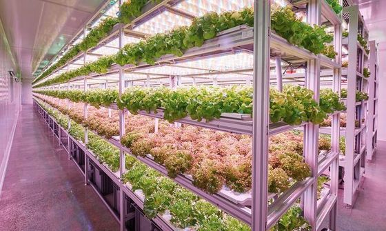 Система освещения контейнерного хозяйства с прогнозируемым сроком доставки и низкой стоимостью доставки
