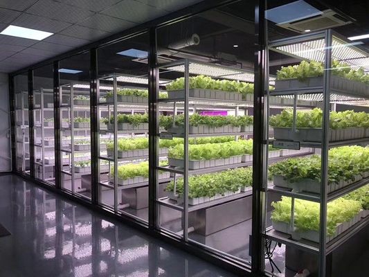 Система освещения контейнерного хозяйства с прогнозируемым сроком доставки и низкой стоимостью доставки