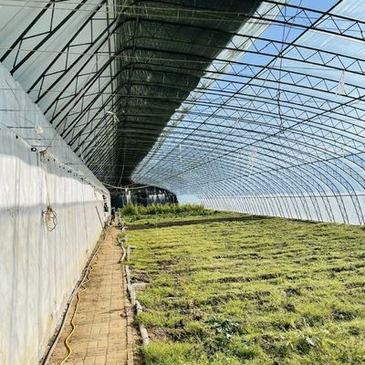 Полная оплата однослойная гидропоника цветочная солнечная теплица для вашего первоначального платежа