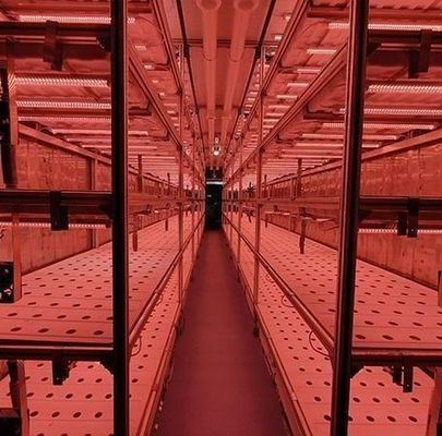 Стальной материал покрытия Гидропоническая вертикальная система контейнеров для сельского хозяйства для форменной крыши
