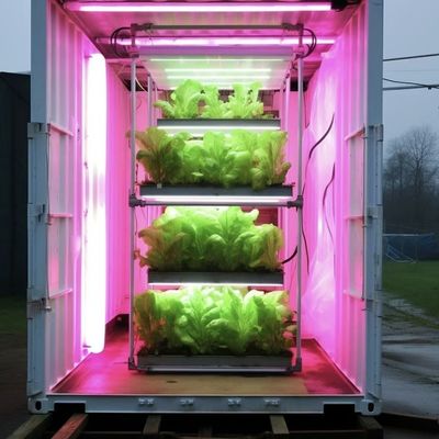 18000.000kg Теплица для листовых овощей Пакет валовой массы и легкий возврат