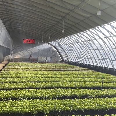 Строение из стальной конструкции для капельного орошения для выращивания овощей и цветов JX-A00227