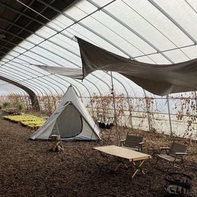 Система гидропонического выращивания аквапоник с несколькими протяженностями для американской валюты в теплице солнечного света
