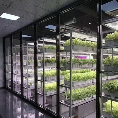 18000.000kg Пакет валовой вес Контейнер для выращивания зеленых листовых овощей Теплица