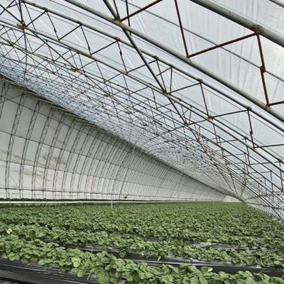 Стоимость доставки и расчетный срок доставки для коммерческой гидропонной семенной теплицы