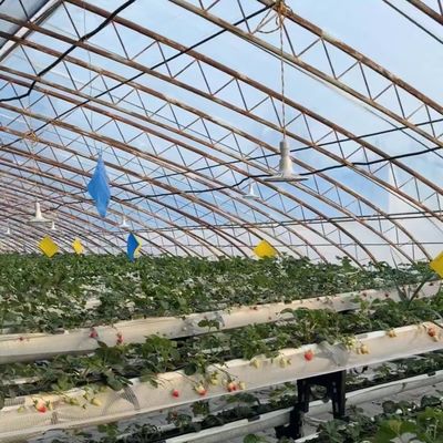Стоимость доставки и расчетный срок доставки для коммерческой гидропонной семенной теплицы