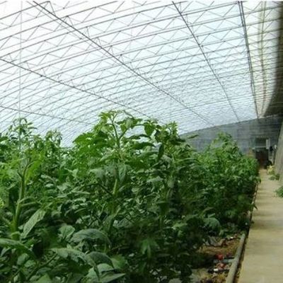 Усовершенствованная система контроля влажности и солнечного света для овощей в коммерческих теплицах