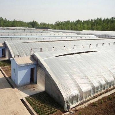 2000.000kg Пакет валовой вес Продвинутая тепличная система для выращивания овощей под солнечным светом