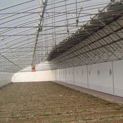 2000.000kg Пакет валовой вес Продвинутая тепличная система для выращивания овощей под солнечным светом