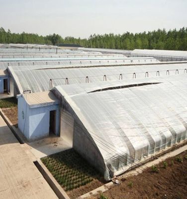 2000.000kg Коммерческая солнечная теплица Джусяна для выращивания клубники jx-sg-108