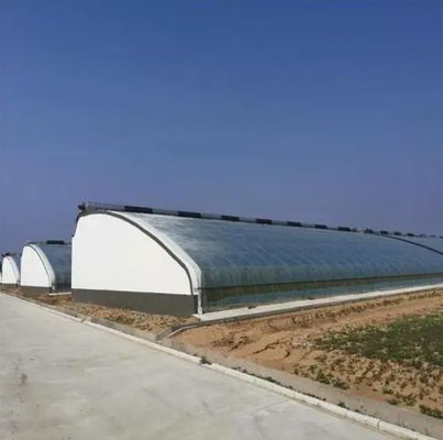 2000.000kg Томат и огурцы выращивание Солнечный свет Тепличный раствор с арочной крышей