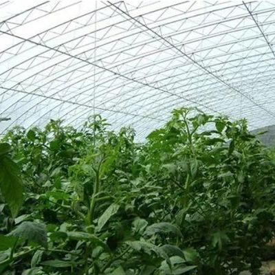 1209cm * 235cm * 239cm Вентиляция и затенение Огурцы для выращивания теплицы для солнечного света