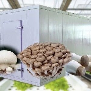 Двухслойная стальная конструкция контейнер для транспортировки теплица для выращивания листовых овощей