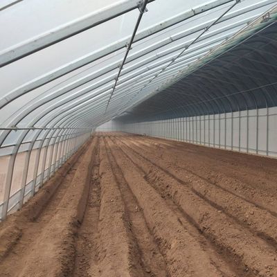 Покрытая пленкой теплица с повышенным солнечным светом для выращивания огурцов в культуре песка