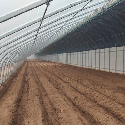 Большое выращивание огурцов упрощено с помощью коммерческой теплицы с регулируемой влажностью