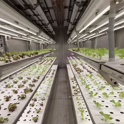 Стальная крышка листовые зеленые контейнер теплицы для настройки