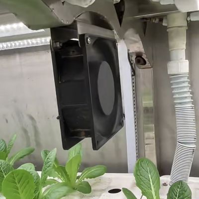 Стальная крышка листовые зеленые контейнер теплицы для настройки