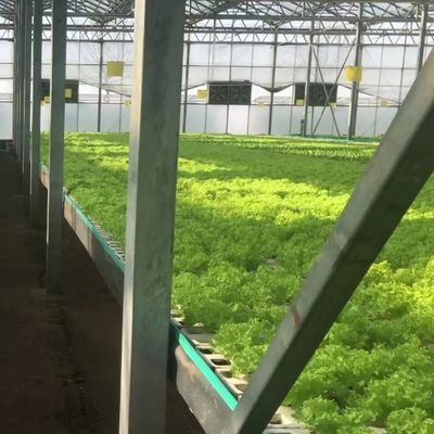 Вертикальное сельское хозяйство Контейнерная судоходная теплица с гидропоникой и стальной структурой