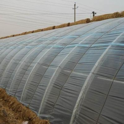 Первоначальная оплата Коммерческое выращивание помидоров Солнечный свет Тепличное решение Начните сейчас