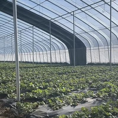 Усовершенствованная теплица для солнечных растений с контролем влажности и оптимальным ростом растений