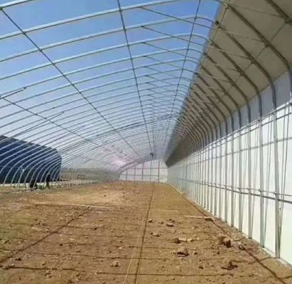 Усовершенствованная теплица для солнечных растений с контролем влажности и оптимальным ростом растений