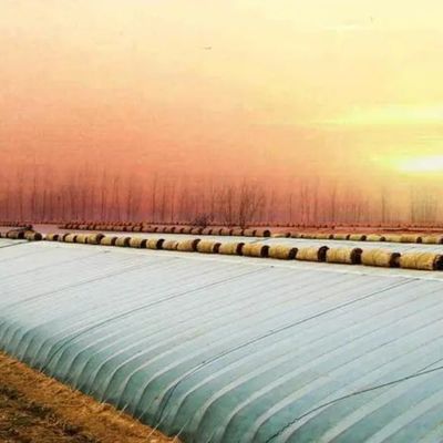 Пакет валовой вес 2000.000kg Легкая солнечная теплица для выращивания овощей