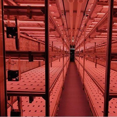 Вертикальная ферма Контейнерная теплица в судоходных контейнеров дизайн