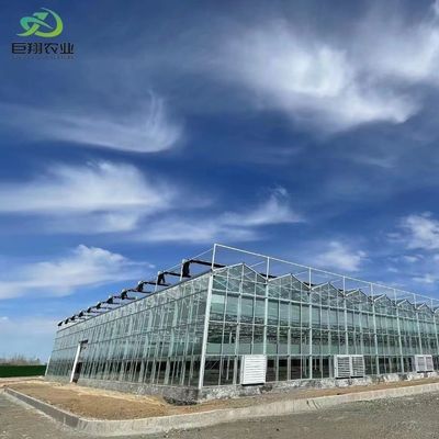 Настройка теплицы стекла типа Venlo с внешней системой затенения