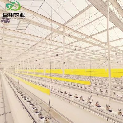 Настройка теплицы стекла типа Venlo с внешней системой затенения