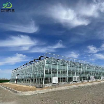 Садовые овощи и цветы Стеклянная теплица с гидропонической системой
