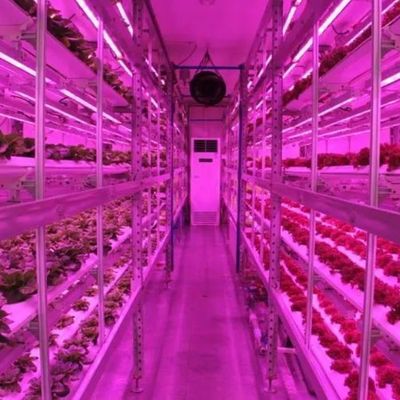 Контейнеры для судоходства Вертикальное сельское хозяйство Коммерческая теплица с гидропоникой Инновации