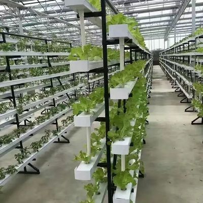 Вертикальный контейнер для сельского хозяйства Теплица в 40HQ Reefer с гидропонным контейнером