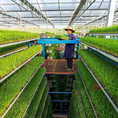 US 40/Piece Samples PC Side/Poly House и PE Roof Greenhouse для выращивания овощей